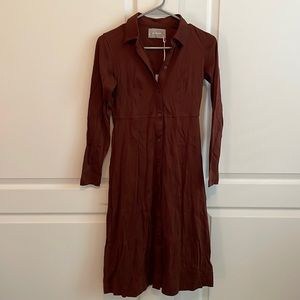 Everlane Button Down Dress